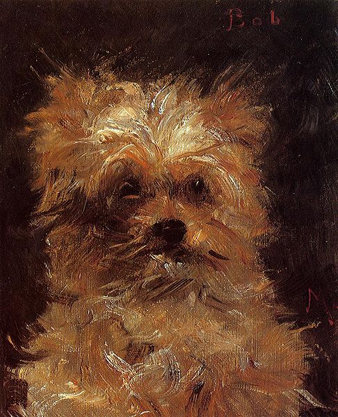 Bob Chien Griffon